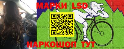 apvp Коммунар