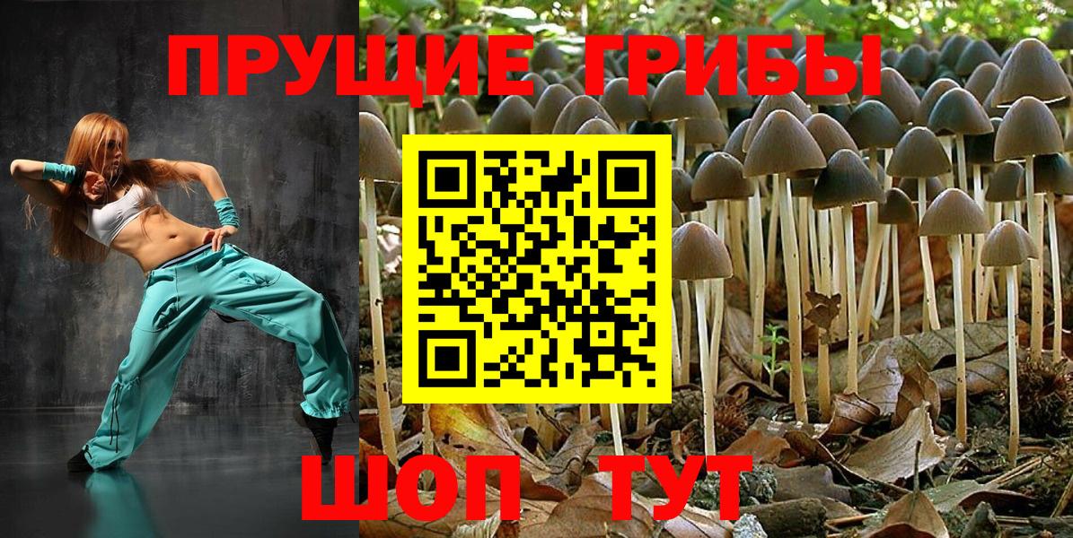 Псилоцибиновые грибы Cubensis  Вход с VPN  Псилоцибиновые грибы Magic Shrooms  Кимры 